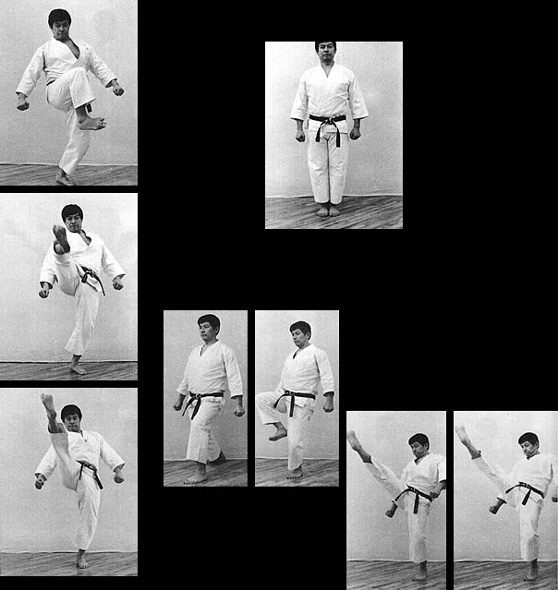 GYAKU MAWASHI GERI
