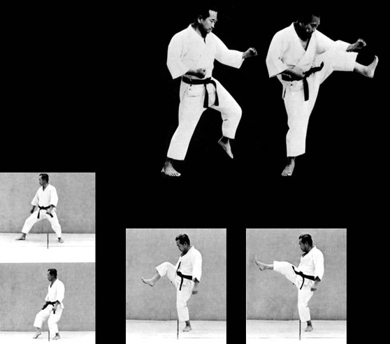 MAE ASHI GERI
