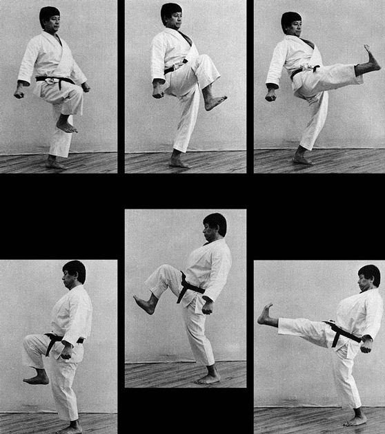MAE GERI KEKOMI