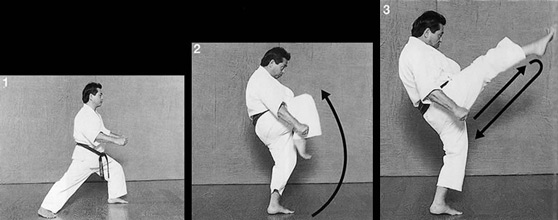 MAE GERI