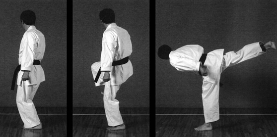 USHIRO GERI
