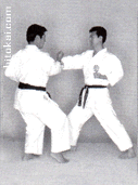 باسایی دای
