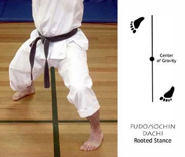FUDO Dachi