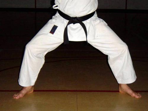 SHIKO Dachi