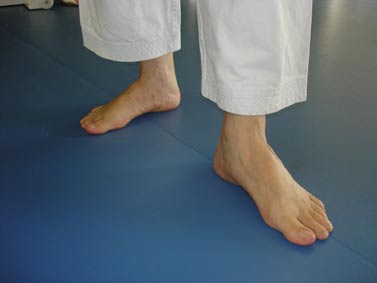 TEIJI  Dachi