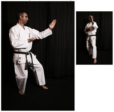 CHUDAN SHUTO UKE
