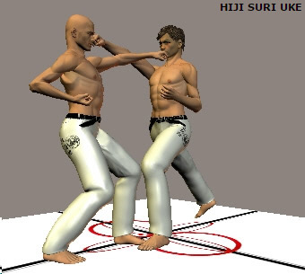 HIJI SURI UKE